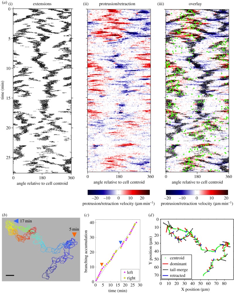 Figure 2.