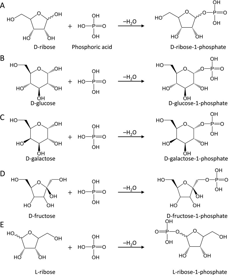 Fig. S1.