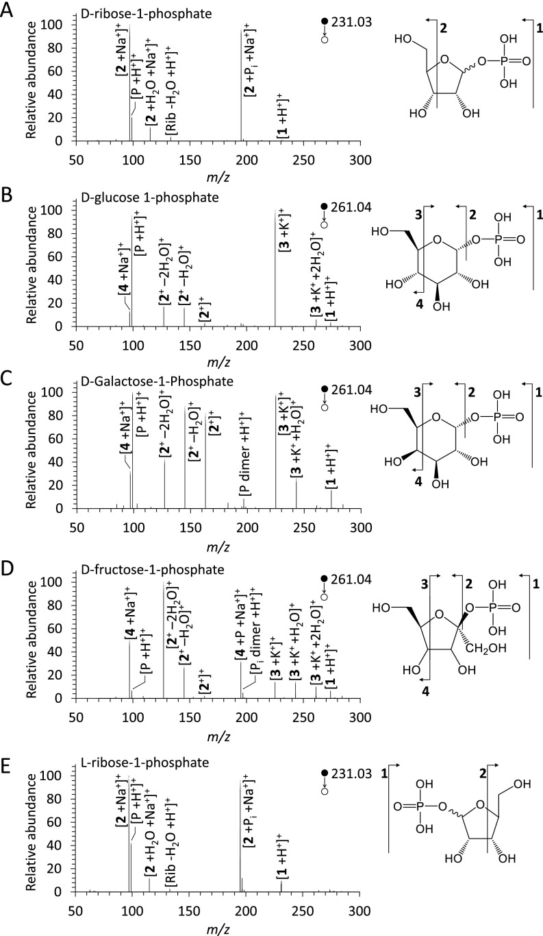 Fig. S4.