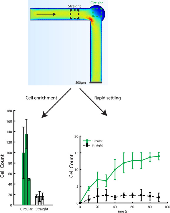 Image, graphical abstract