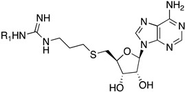 graphic file with name biomolecules-11-00854-i001.jpg