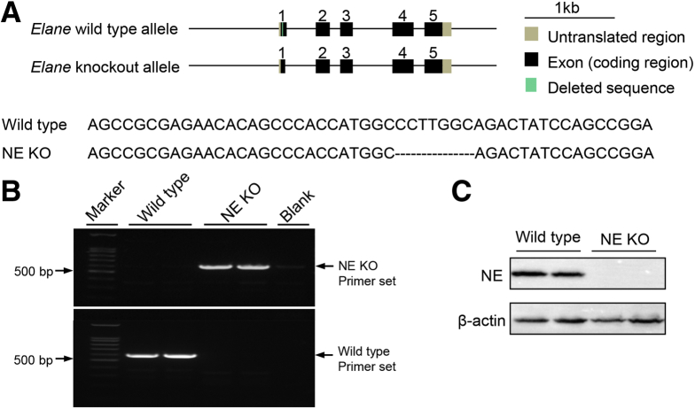 Figure 10