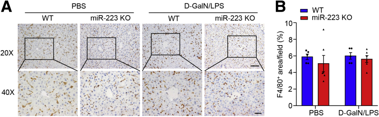 Figure 14