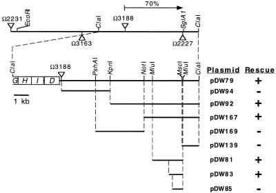 FIG. 1