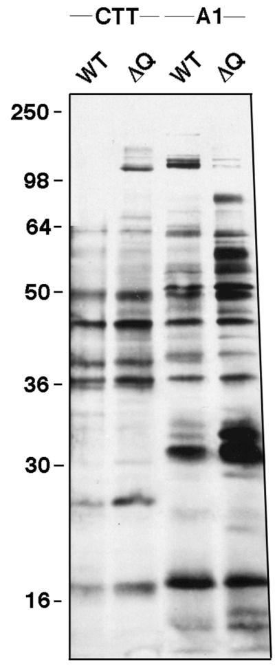 FIG. 10