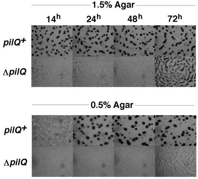 FIG. 7