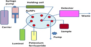 Graphical Abstract