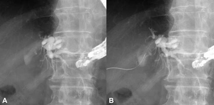Figure 3
