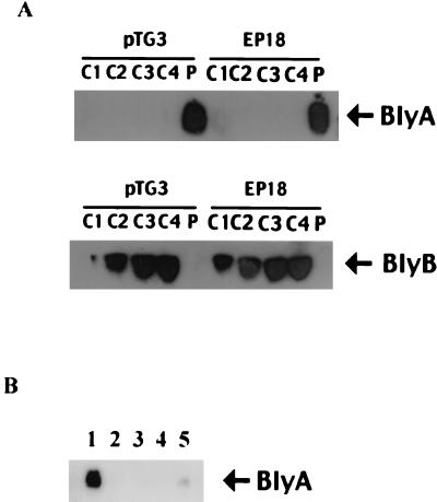 FIG. 6