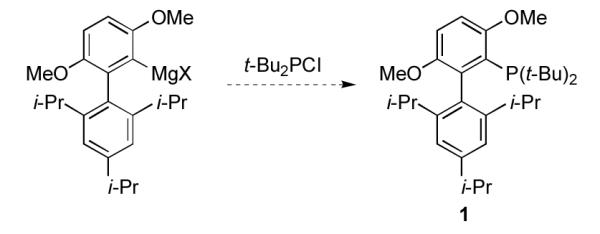 Scheme 2