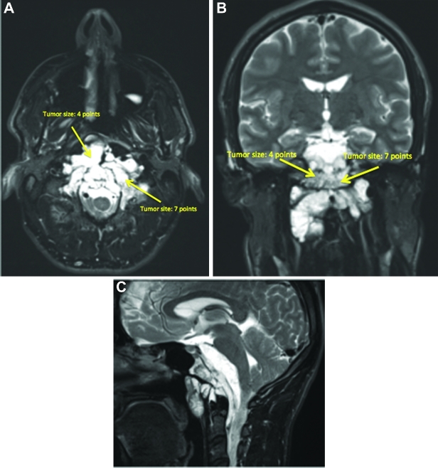 FIGURE 10.