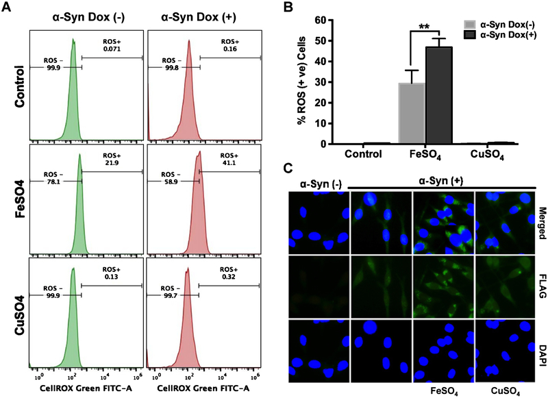 Fig. 6.