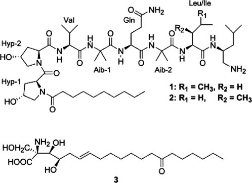 Fig. 4