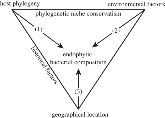 Figure 1.