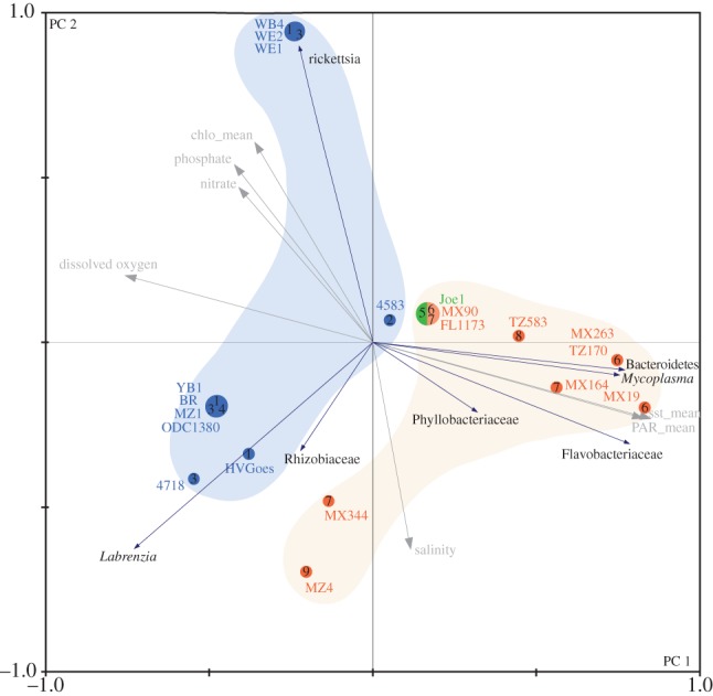 Figure 3.