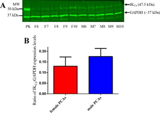 Figure 10