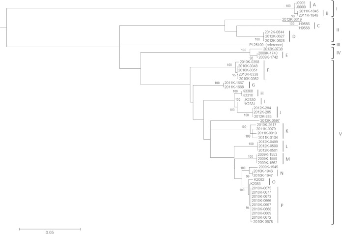 FIG 1