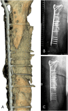 Fig. 7