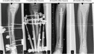 Fig. 8