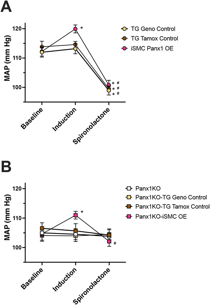 Figure 5: