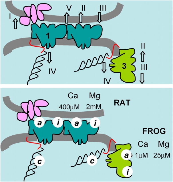 Figure 16. 