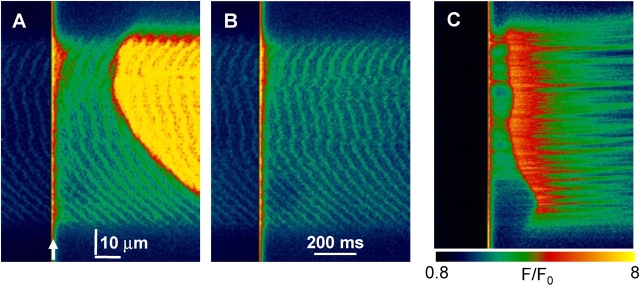 Figure 10. 