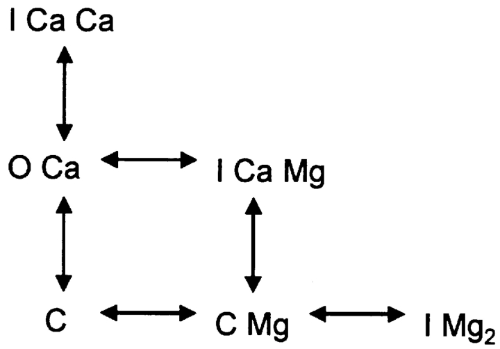 (SCHEME 1)