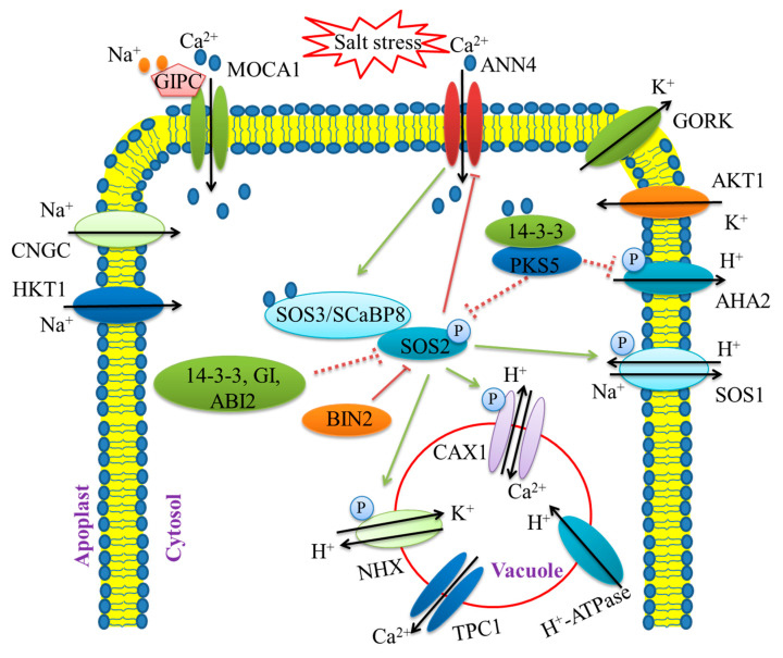 Figure 2