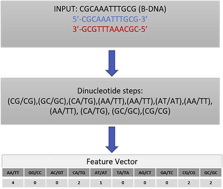 Figure 1