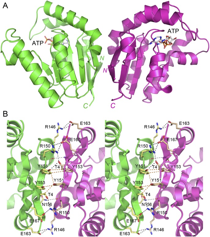 FIGURE 3.