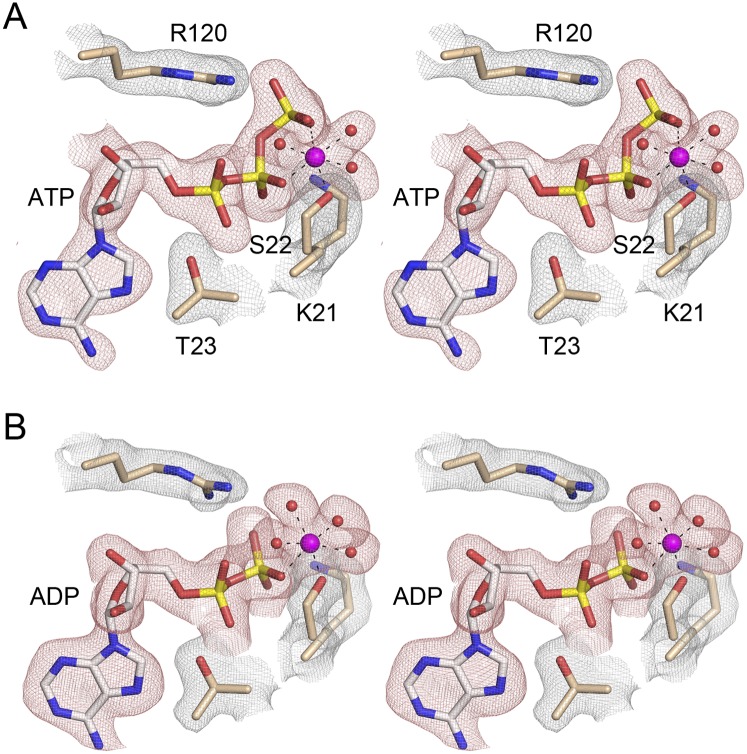 FIGURE 4.