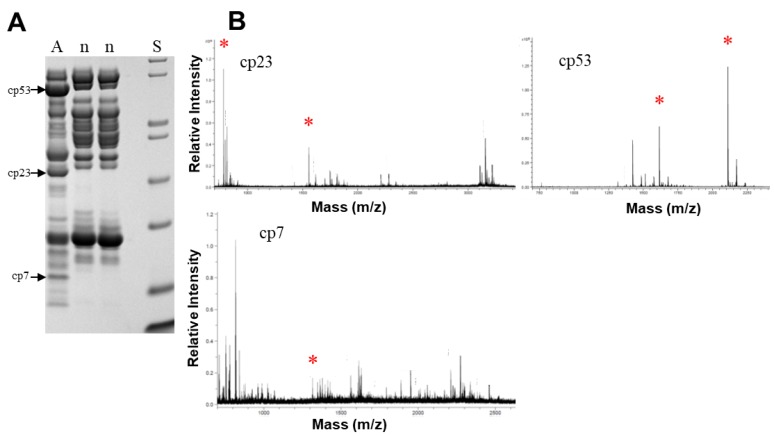 Figure 7