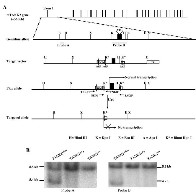 FIG.1.