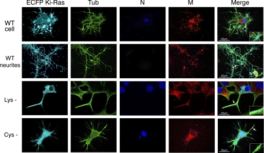 FIGURE 11.