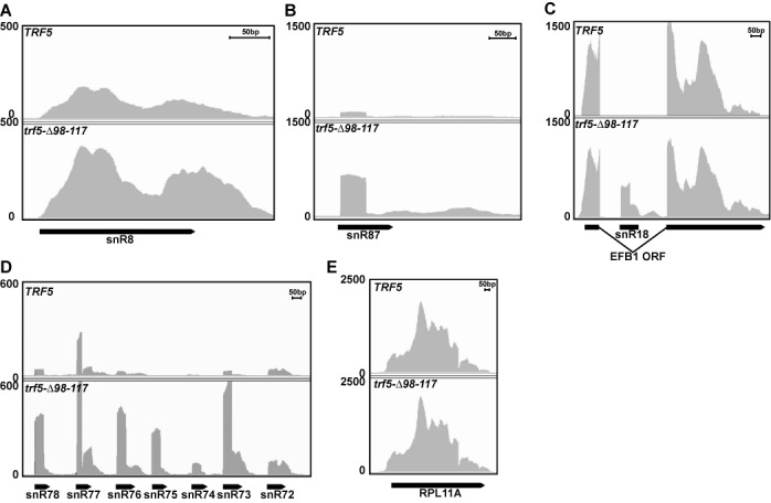 Figure 5.