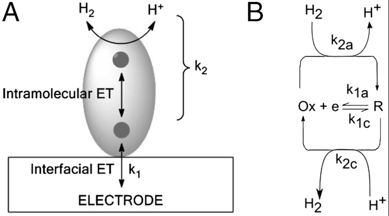 Scheme 1.