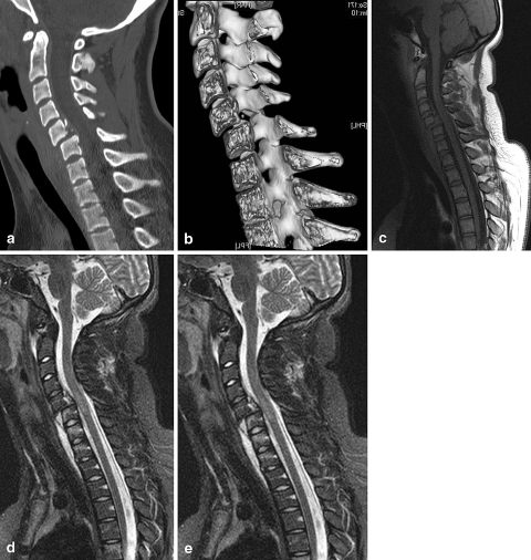 Fig. 6