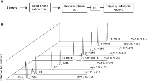 Fig. 3