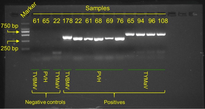 FIG 3