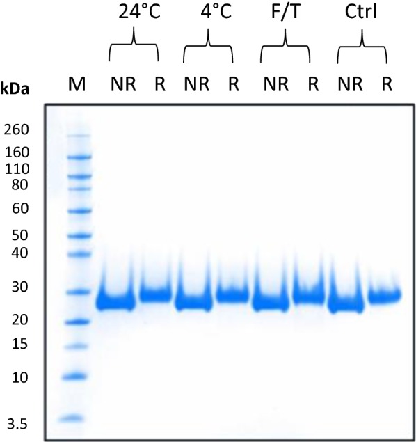 Fig. 7