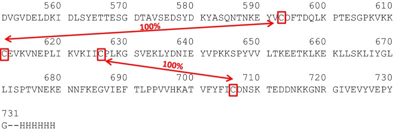 Fig. 6