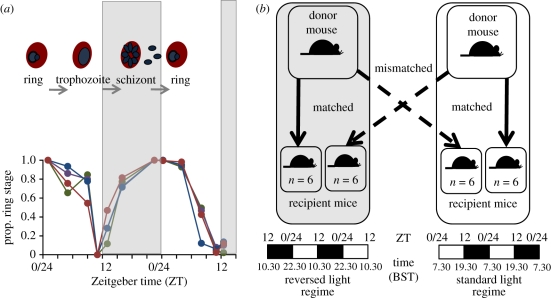 Figure 1.