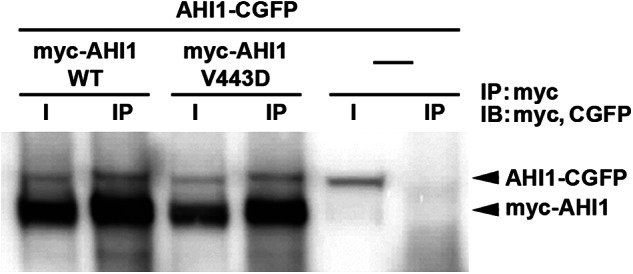 FIGURE 14.