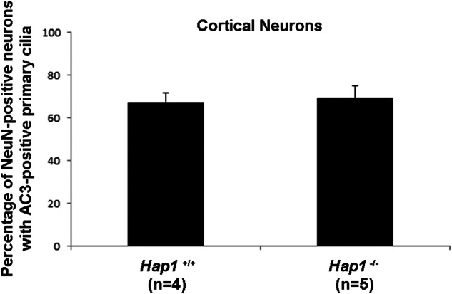 FIGURE 11.