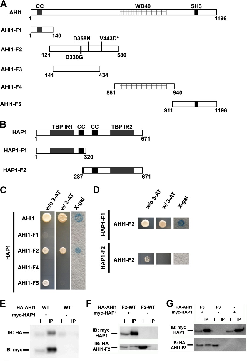 FIGURE 7.