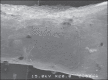 Figure 4a