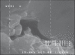 Figure 4b