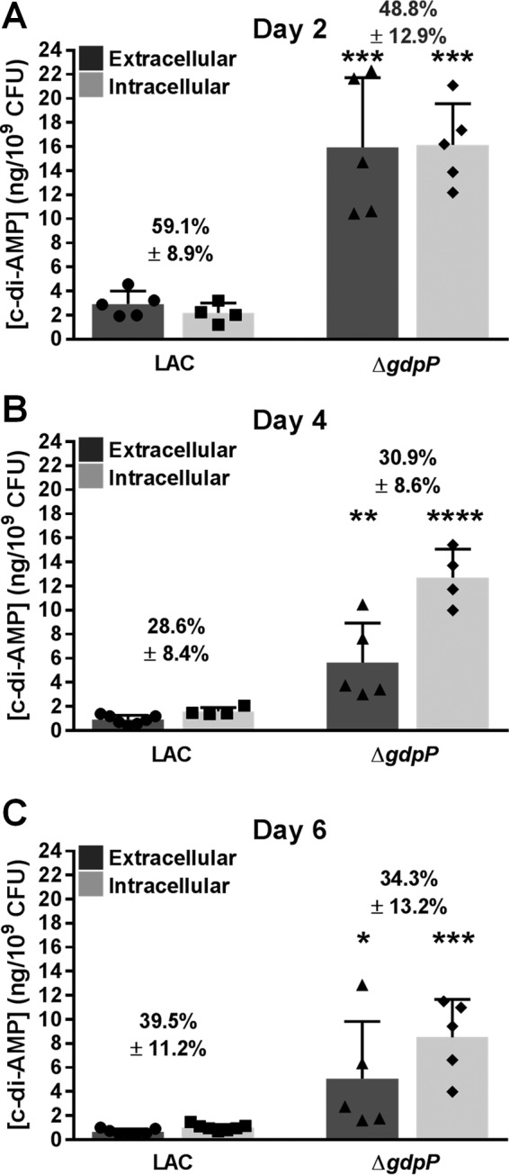 FIG 2