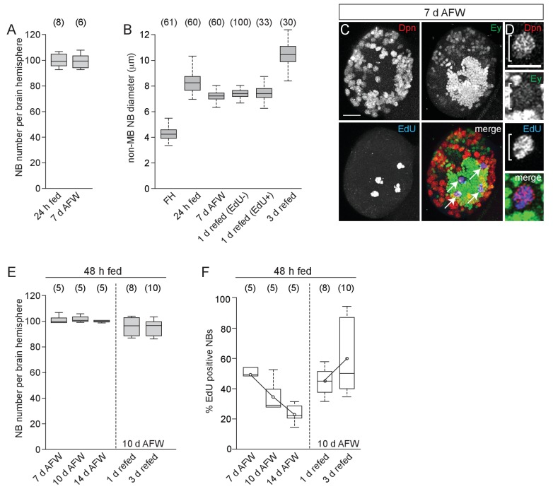 Figure 1—figure supplement 1.