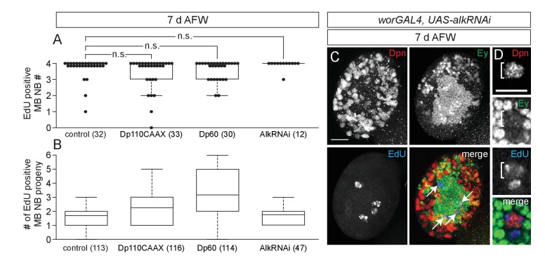 Figure 2—figure supplement 1.